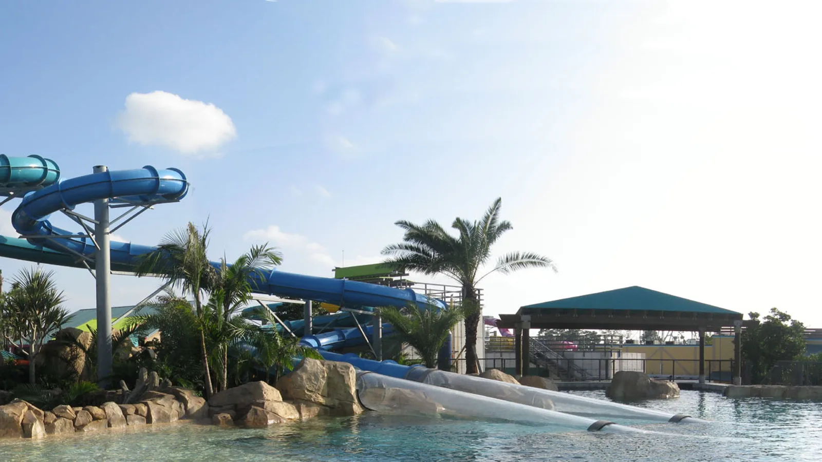 Dolphin Plunge at Aquatica Orlando
