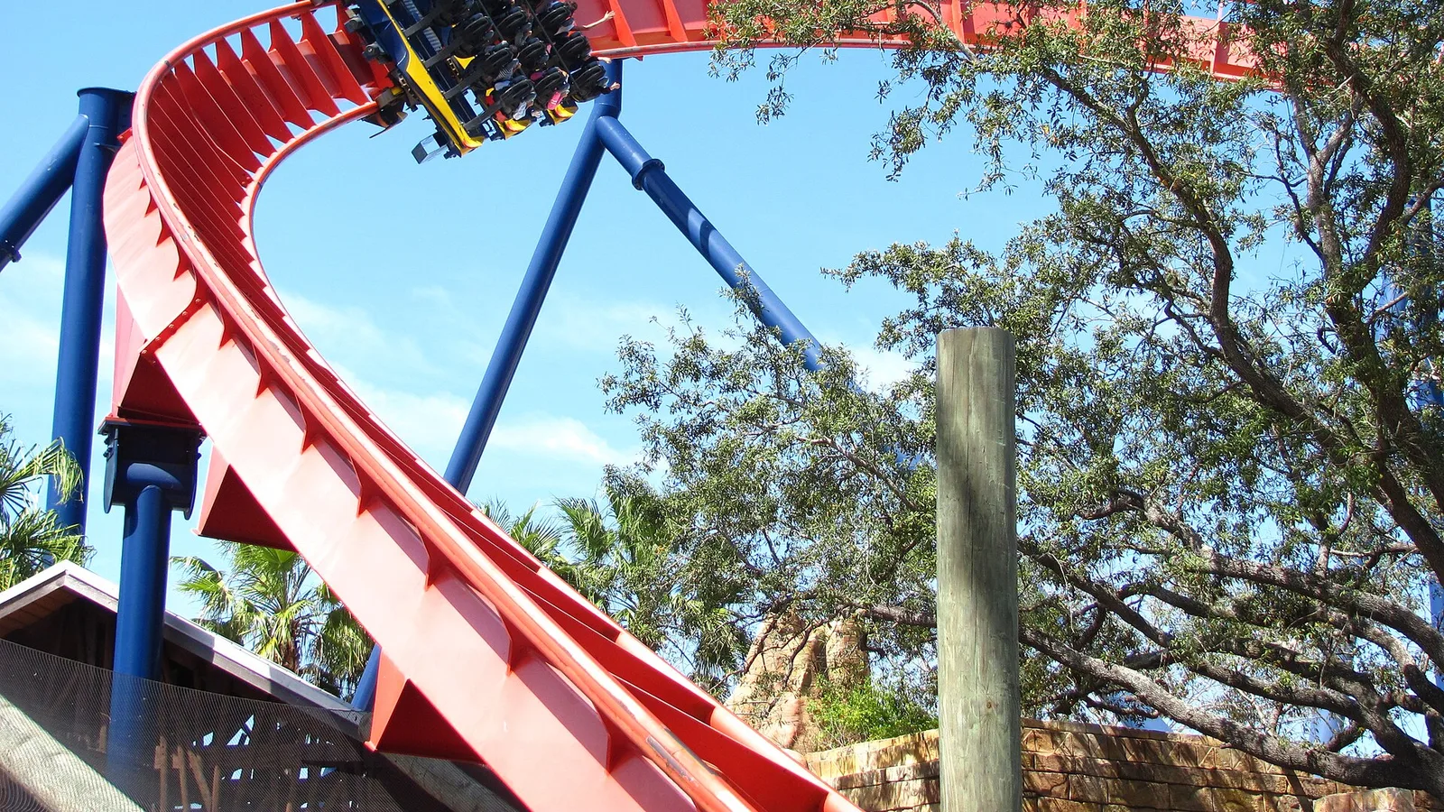 Roller coaster at Busch Gardens Tampa Bay