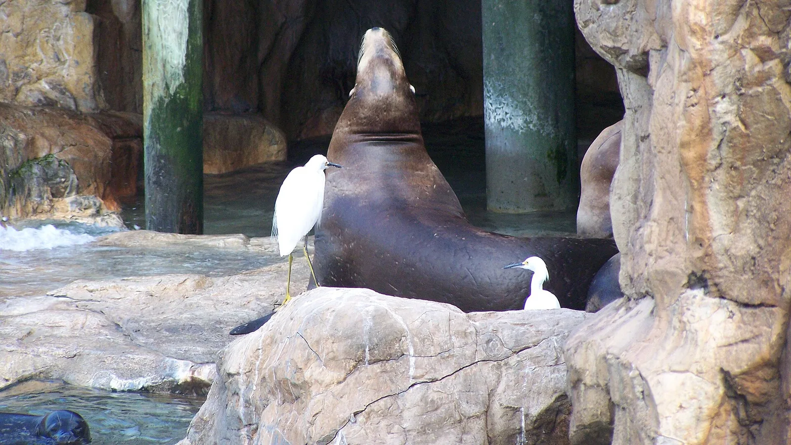 SeaWorld Orlando park and waterfront