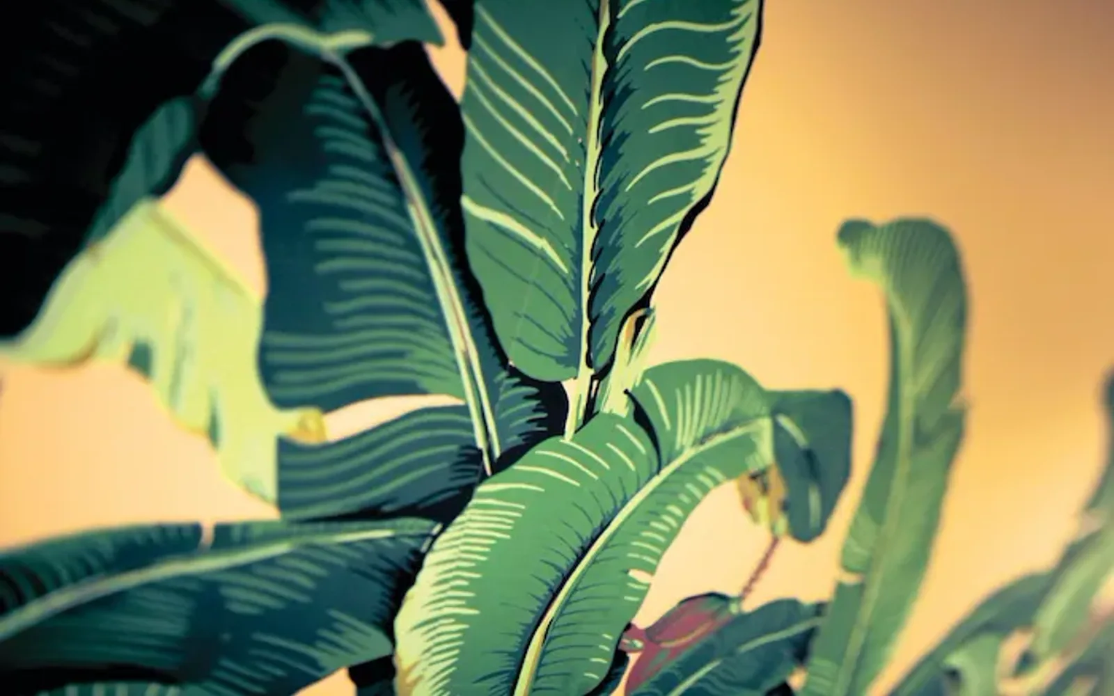 Martinique Banana Leaf Wallpaper at The Beverly Hills Hotel, Los Angeles