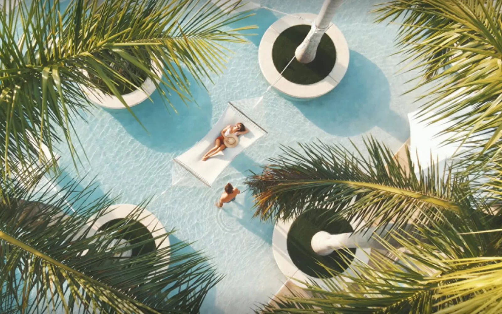 Palm-lined pool and terrace in Miami