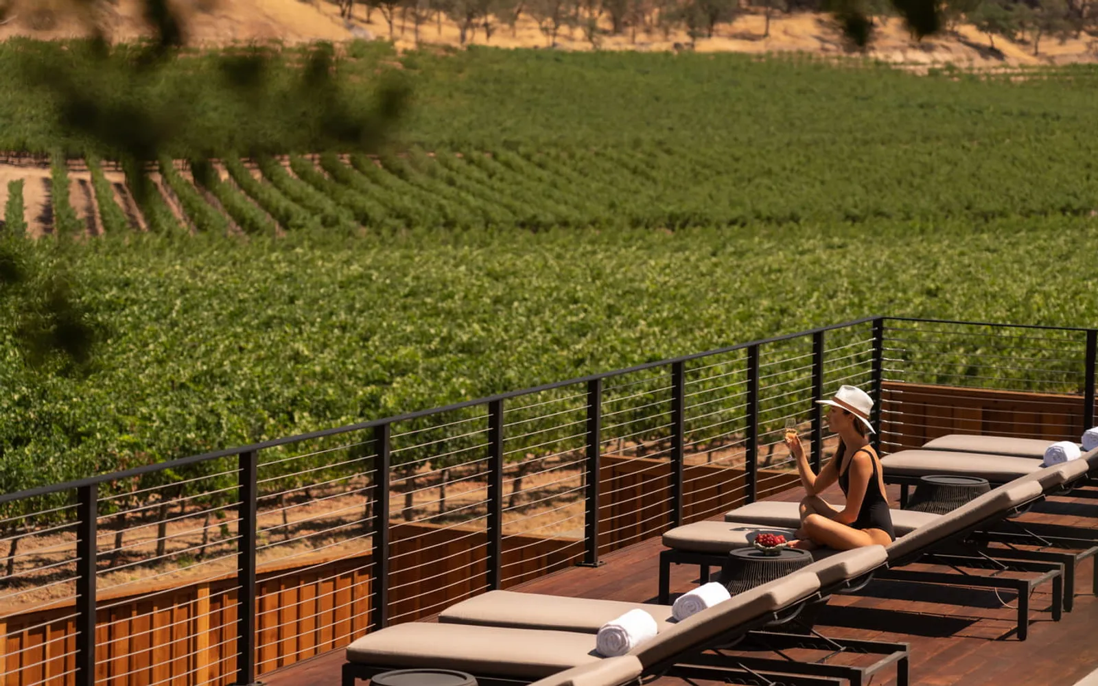 Four Seasons Resort and Residences Napa Valley, official Four Seasons photography for the dining section.