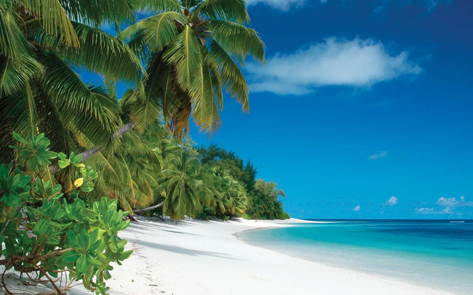 Four Seasons Resort Seychelles at Desroches Island, official Four Seasons photography for the overview section.