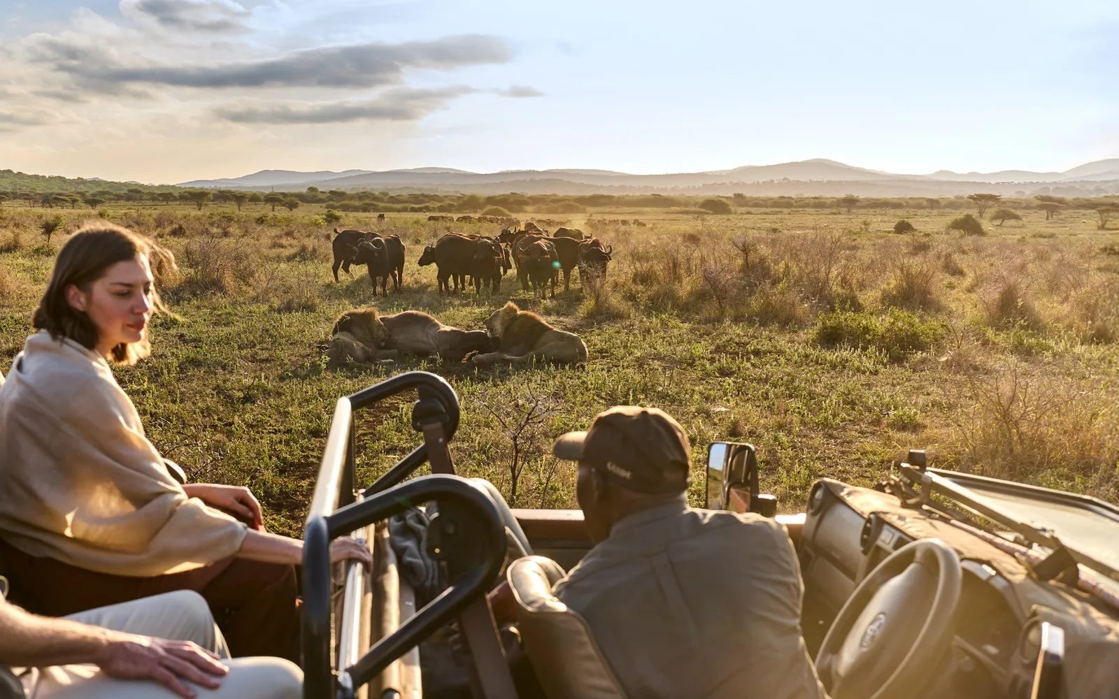 Guided game drive at Jumeirah Thanda Safari