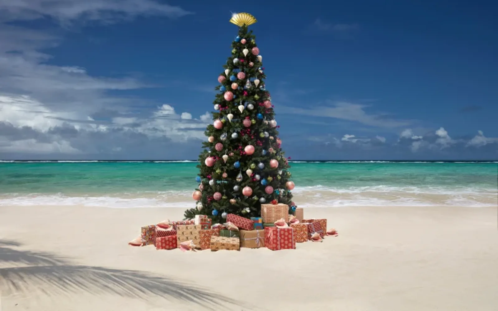 Christmas tree on Godahl Beach, decorated with ornaments and surrounded by gifts by the turquoise sea.