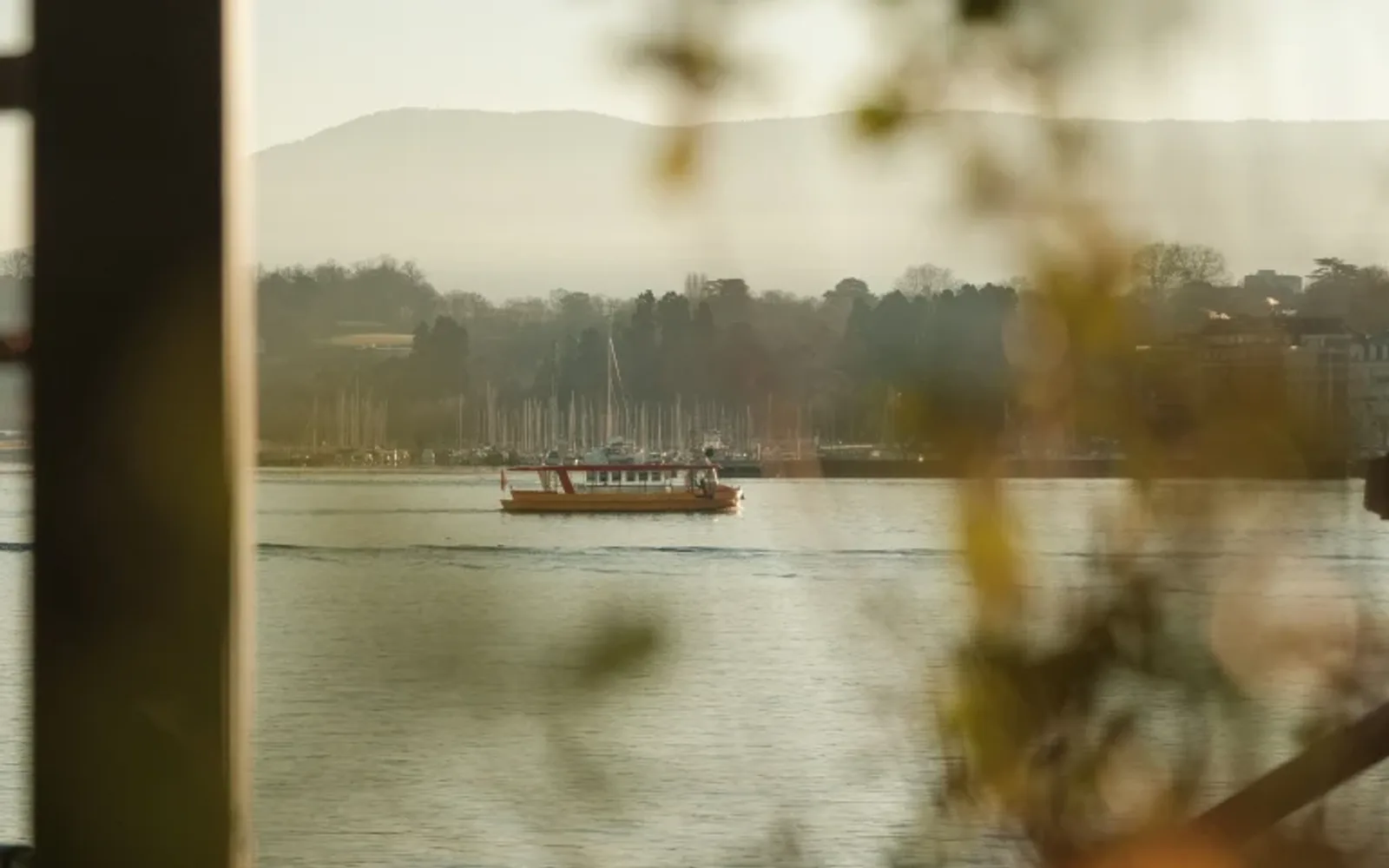 Historic paddle steamer crossing Lake Geneva, viewed through soft foreground foliage.