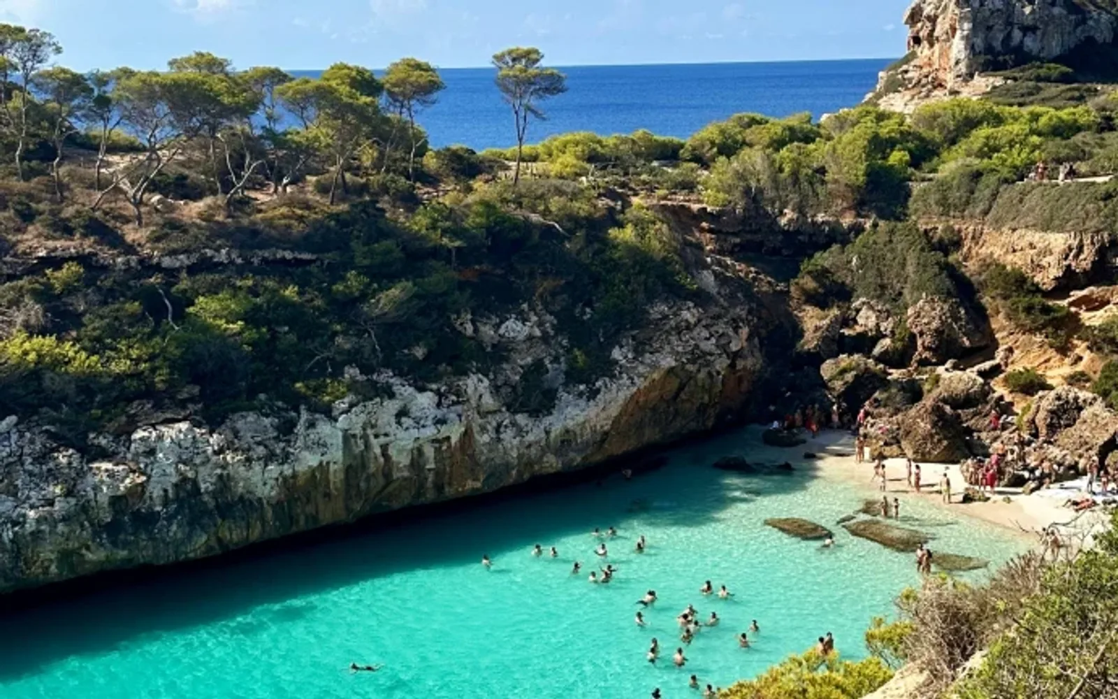 A small turquoise cove in Mallorca with crystal‑clear water surrounded by rocky cliffs and dense green vegetation. Dozens of people are swimming and relaxing in the shallow bay near a tiny sandy beach tucked between the rocks.