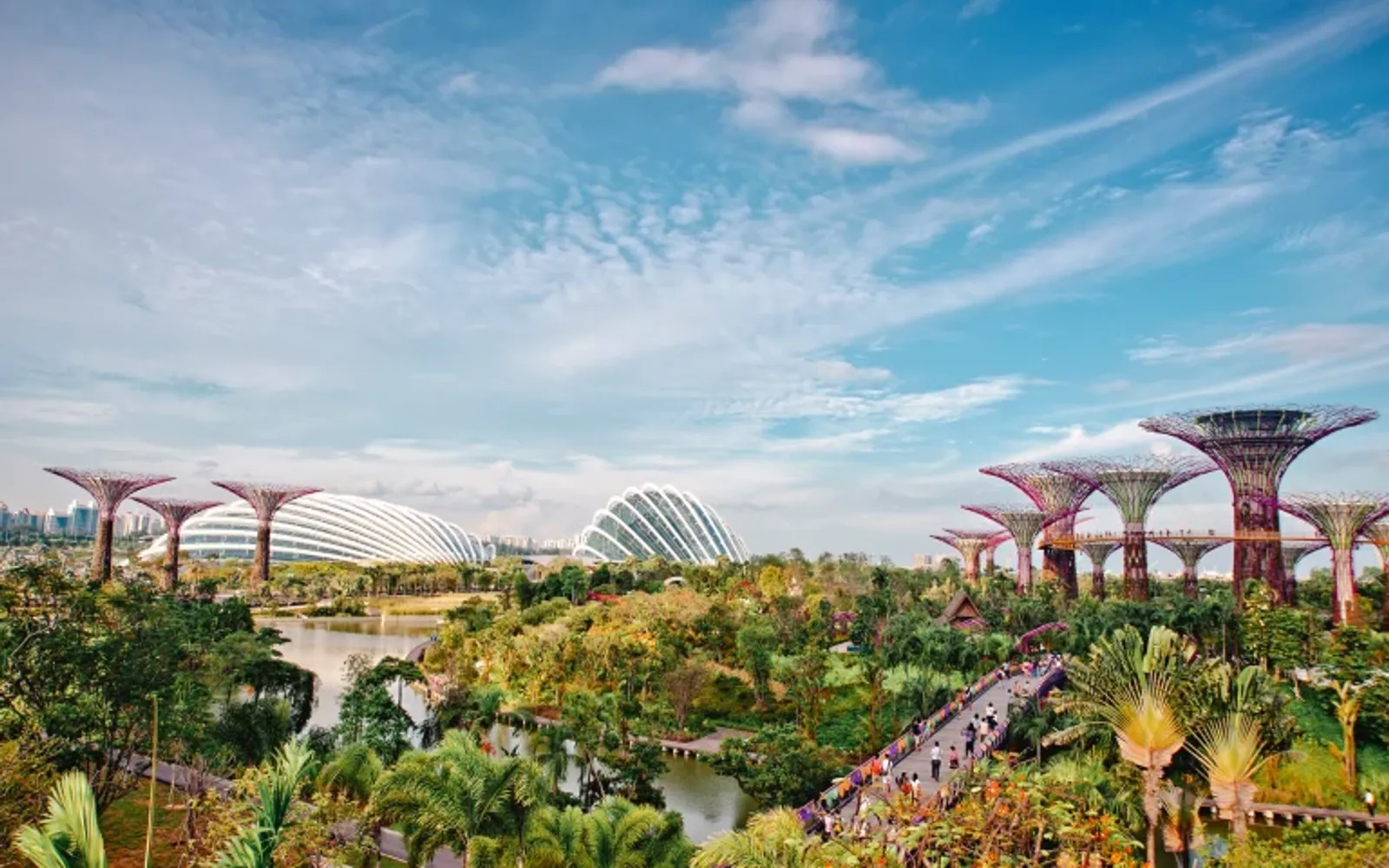 garden by the bay in singapore