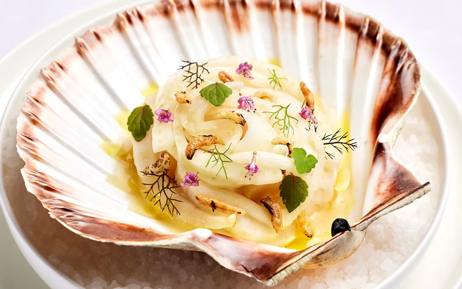 LAN - Roast Orkney scallop - A la Carte - Menu
