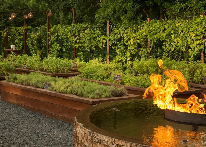 La Ceiba garden and fire pit at Rosewood Mayakoba