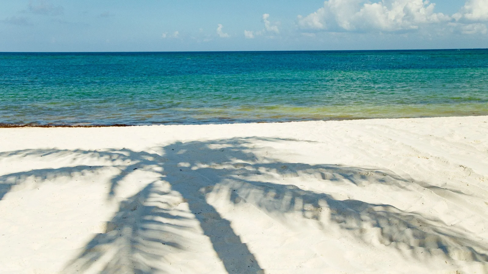 Official supplier photograph of Secrets Macao Beach Punta Cana in Macao Beach
