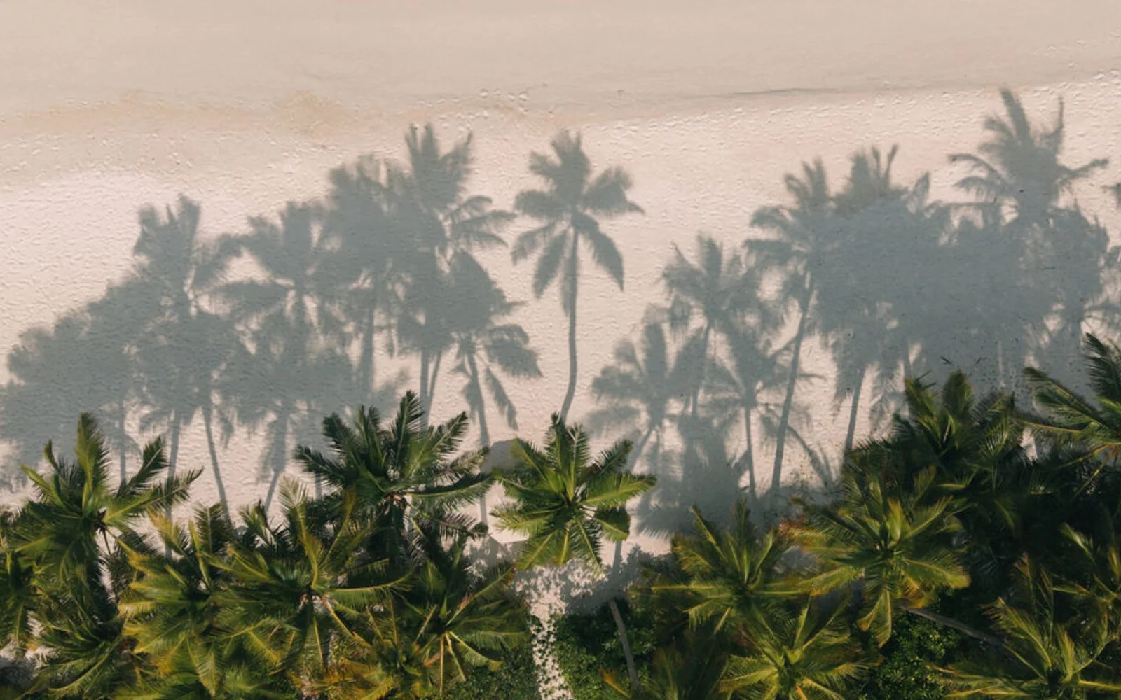 Quiet ocean-facing moment at Soneva Secret