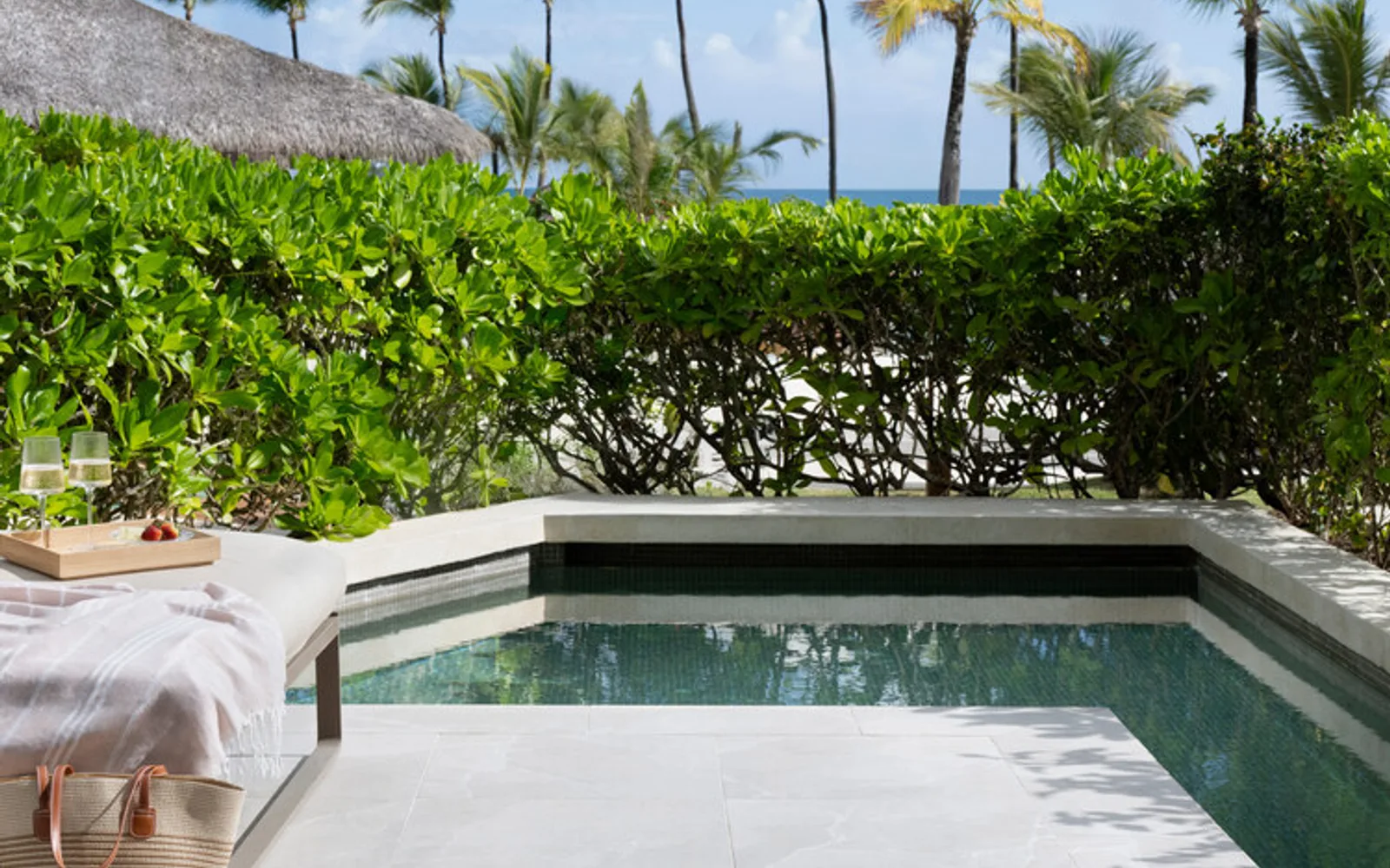 Excellence Punta Cana Suites with Private Pool Terrace
