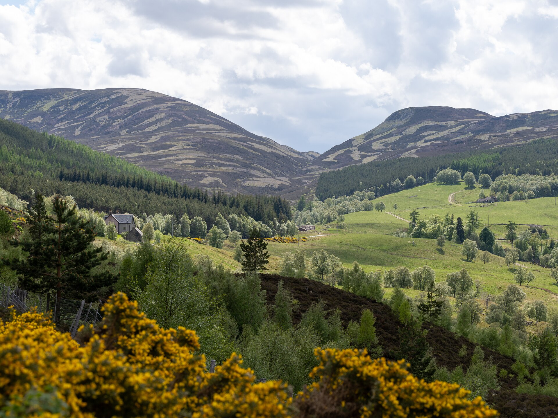 The Cairngorms & Speyside, Scotland